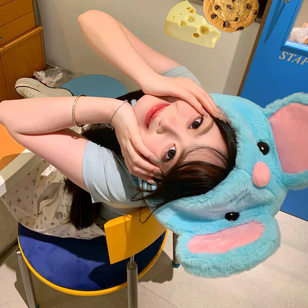 红狐